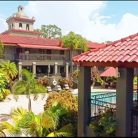 Red Roof Inn Plus & Suites Tampa - Busch Gardens-3