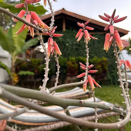 Garden Pearls-3