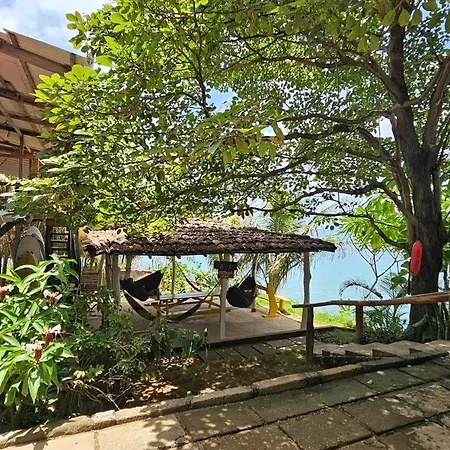 Monkey House Hostel-3
