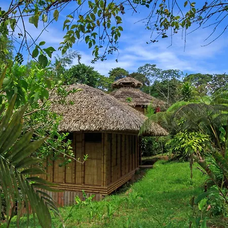 La Selva Eco-Lodge & Retreat-2