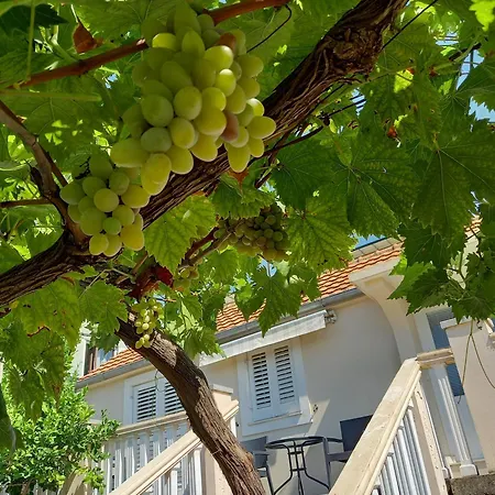 Apartman Maslovar-3