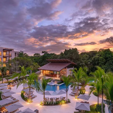 Botanika Osa Peninsula, Curio Collection By Hilton-3