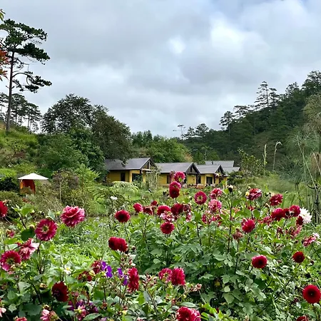 Lat Valley Retreat Village-2