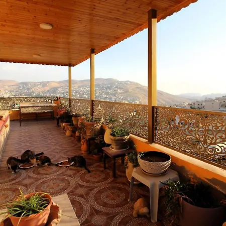 Petra Bed & Breakfast-3