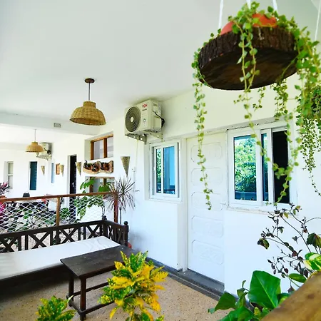 Tulia House Backpackers-2