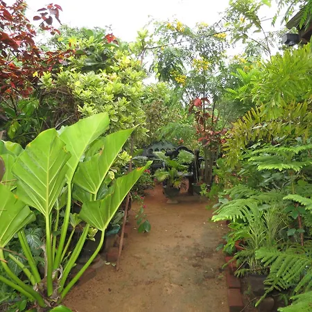 Another World Hostel Sigiriya-3
