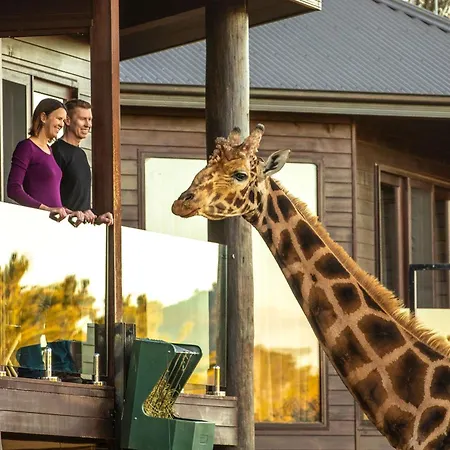 Jamala Wildlife Lodge-3