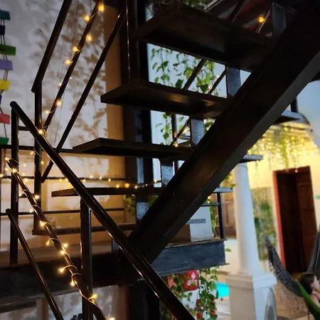 Baboon Hostel-3