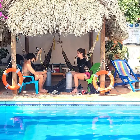 Divanga Hostel And Diving-3