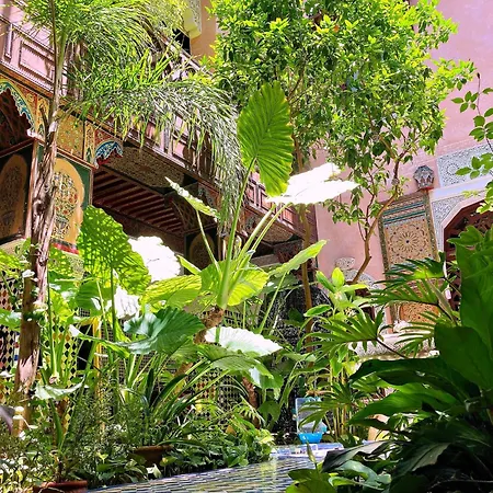 Riad Toyour- Riad Of Birds-2