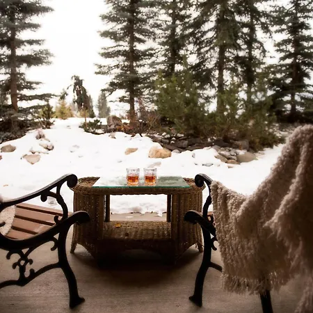 A Bear And Bison Country Inn-3