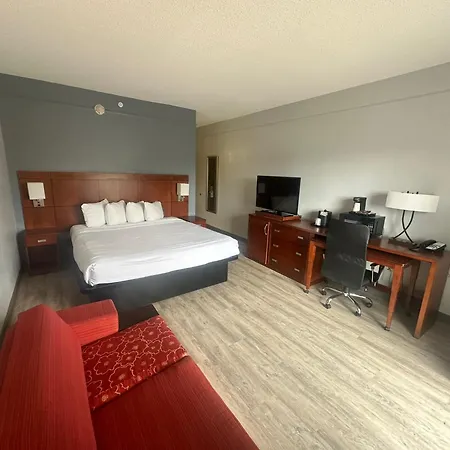 Super 8 By Wyndham Dallas Love Field Airport-2