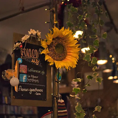 Le Flaneur Guesthouse-3
