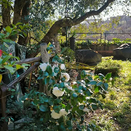 Cassia, Luminoso Open Space Nel Verde , Casa Dei Leoni-2