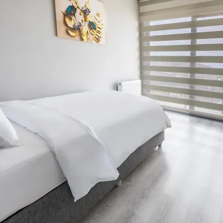 Zal Suite-2