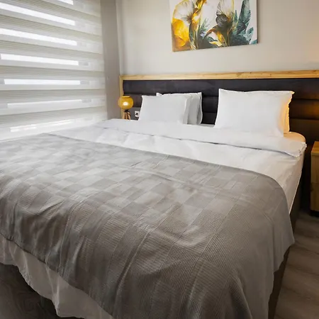 Zal Suite-3