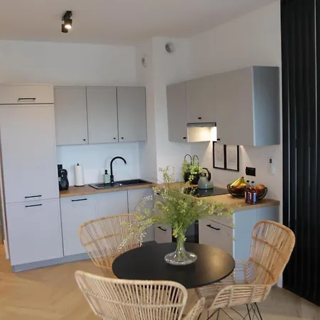 Cozy Apartment Rzeszow-3