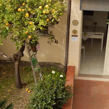Nel Giardino Di Nunziatina-2