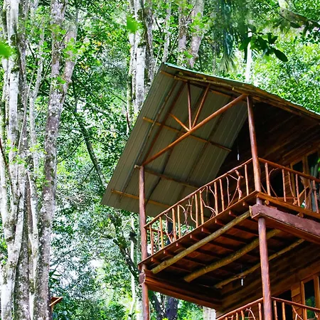Ella Eco Lodge, Wellness & Yoga Retreat-2