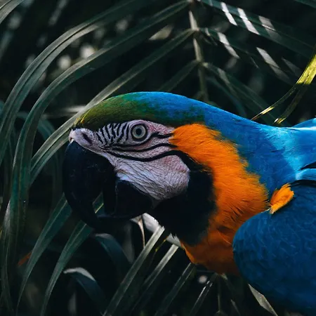 Villa Maria Tayrona, Jungle And Sea Experience-3