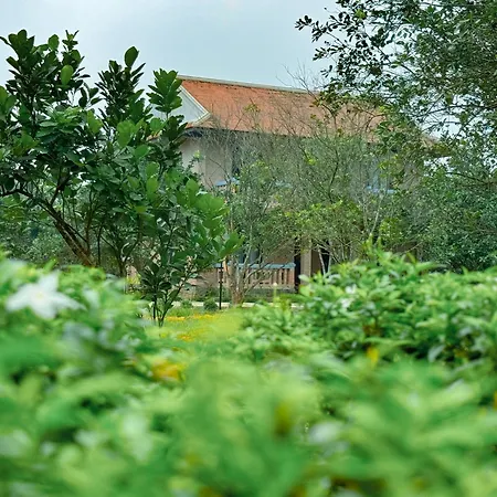 Hue Ecolodge-3