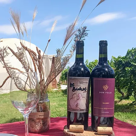 Entre Racimos, Glamping Entre Vinedos En Bodega-3