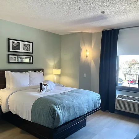 Wingate By Wyndham Salisbury Md Airport North-3