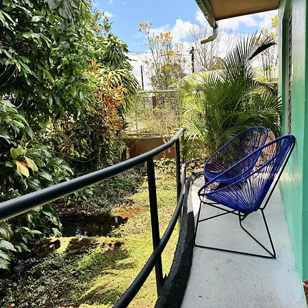 Pura Vibra Hostel-3
