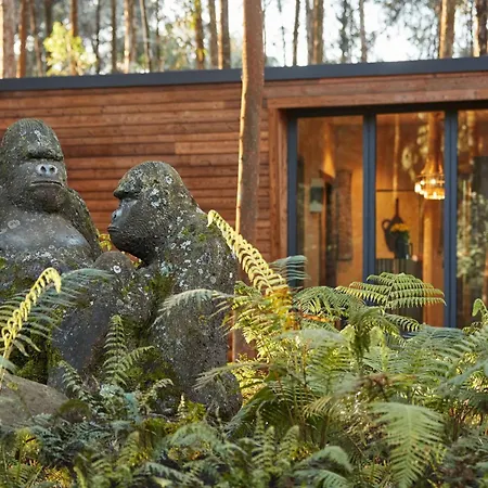 One&Only Gorilla'S Nest-2