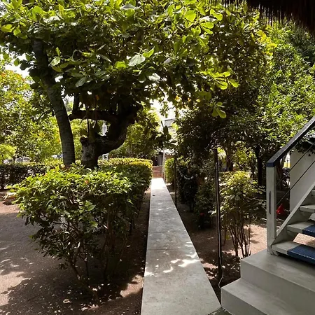 Casa Aris-2