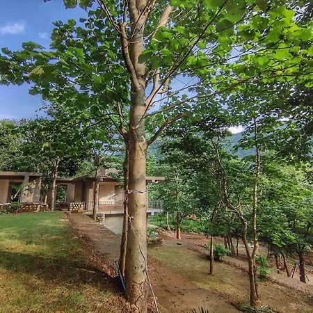 Atali Ganga Resort, Rishikesh-2
