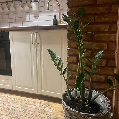 Stebuklas Coliving-2