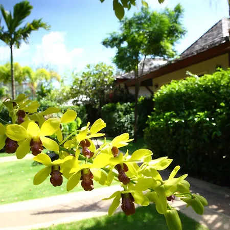 Pai Tan Villas - Sha Extra Plus-2