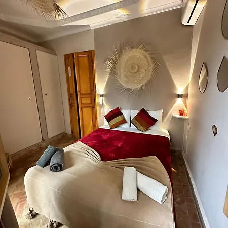 Riad Safina-3