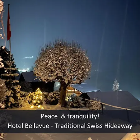 Hotel Bellevue - Traditional Swiss Hideaway-3