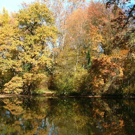 Ensana Thermal Sarvar-3