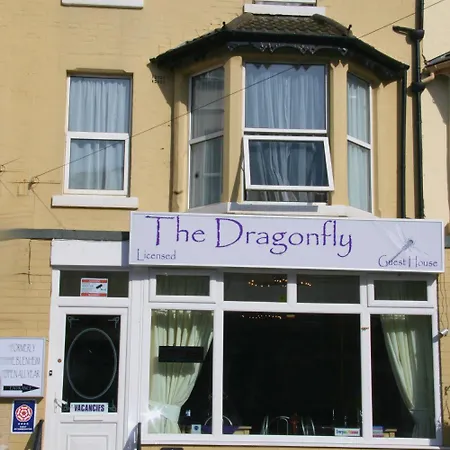 The Dragonfly-2
