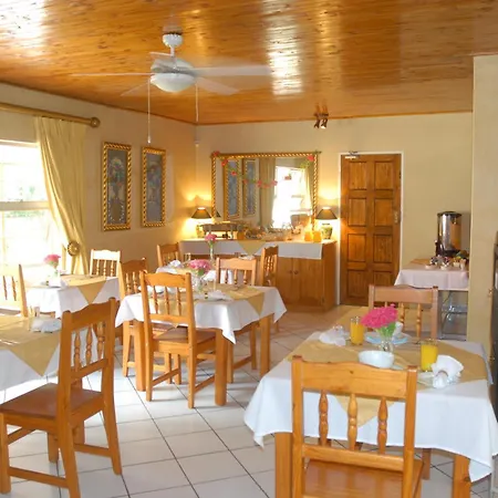 Purple Olive Guest House-2