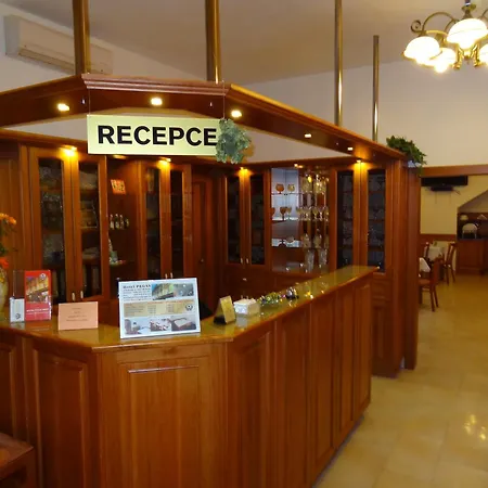 Hotel Pegas Brno-3