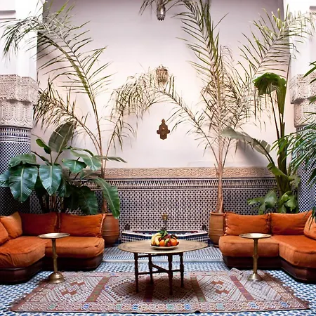 Riad Tayba-3