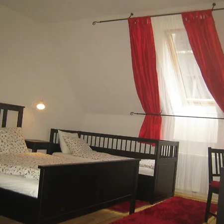 Guesthouse Stari Tisler-2