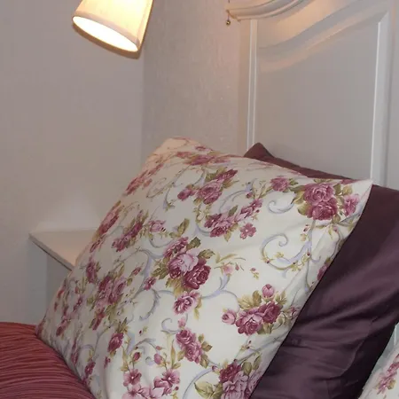 Guesthouse Stari Tisler-3