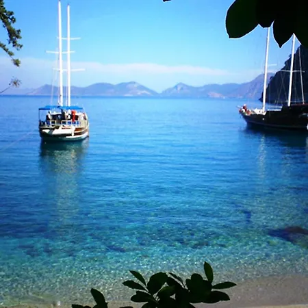 Magic Tulip Beach Hotel-3