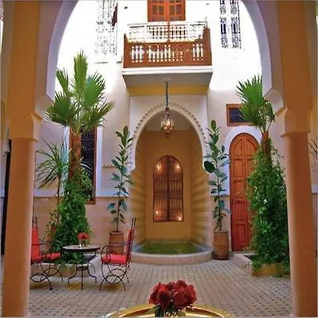 Riad Rabahsadia-3