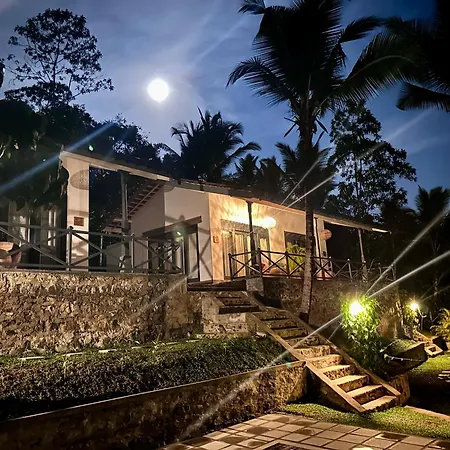 Ebony Boutique Villa-3