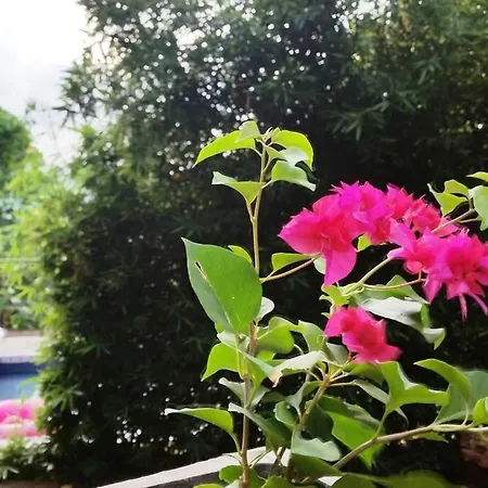 The Kandy House ~ Exclusive Villa-2