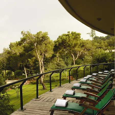 Carmel Forest By Isrotel Exclusive-3