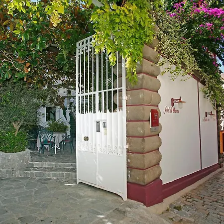 Le Magnolia-3