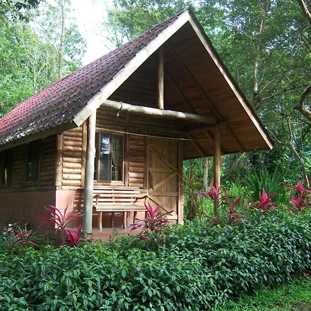 Arenal Oasis Eco Lodge & Wildlife Refuge-3