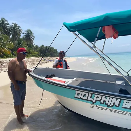 Dolphin Blue Paradise-2